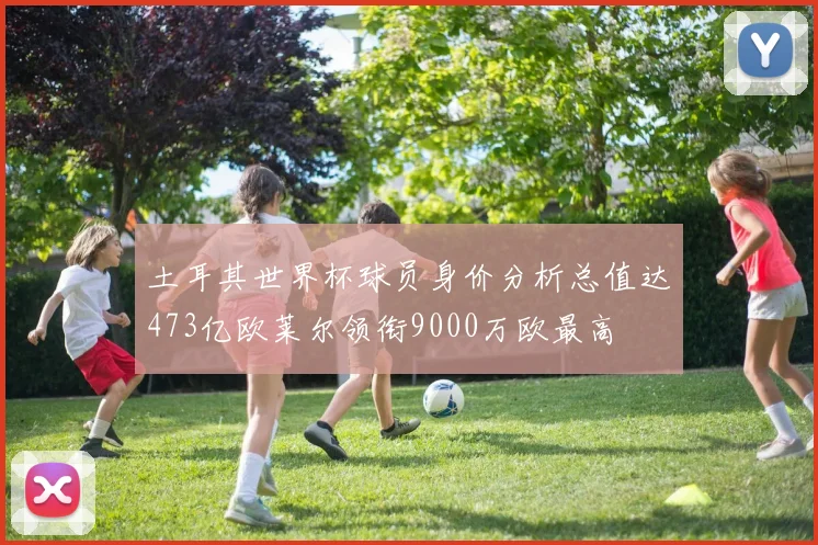 土耳其世界杯球员身价分析总值达473亿欧莱尔领衔9000万欧最高